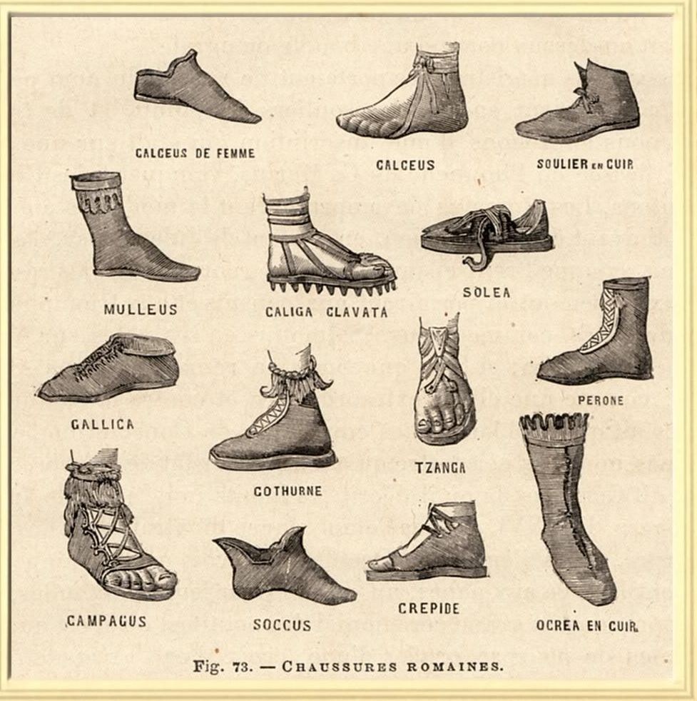 Planche ancienne des chaussures romaines : calceus, caliga, solea, gallica